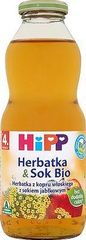 Hipp BIO Herbatka & Sok Bio z kopru włoskiego z sokiem jabłkowym po 4. miesiącu