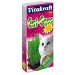 Cat grass- trawa dla kota